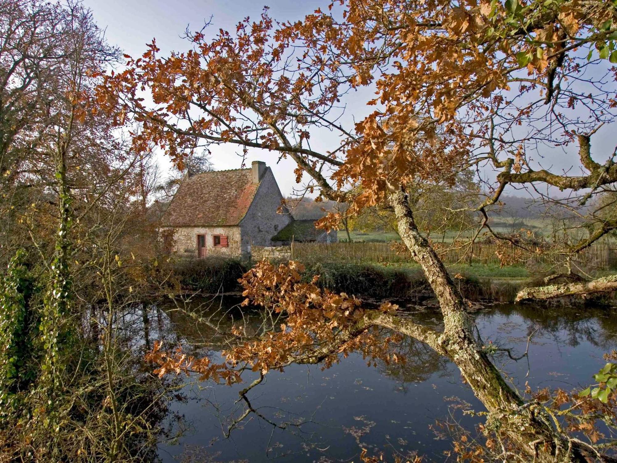 Sejour Nature Au Coeur Du Parc De La Brenne: Gite 4 Chambres, Jardin Et Terrasse, Proche De Rosnay - Fr-1-591-141 Exterior photo